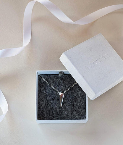 Facet Silver Long Drop Necklace